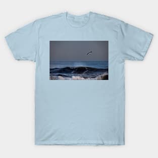 Lone seagull T-Shirt